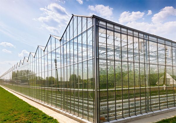 建造玻璃溫室大棚時需要考慮哪些因素